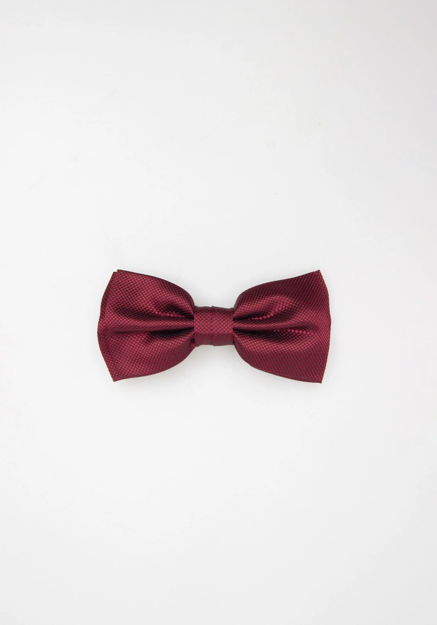 Papillon fantasia