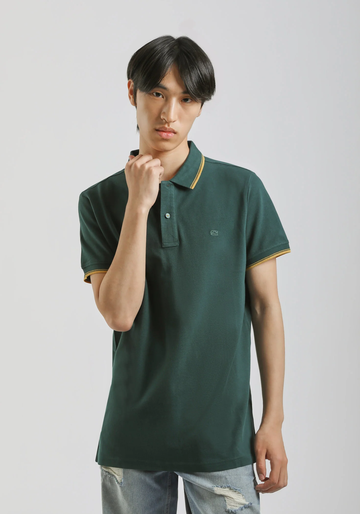Polo 100% cotone